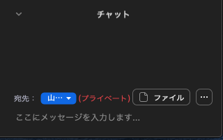 プライベートのチャット プライベートのチャット