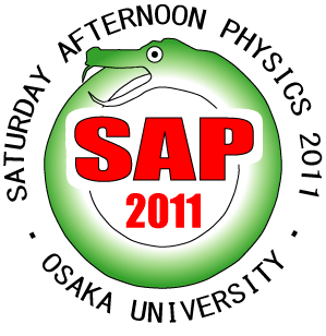 SAP2011