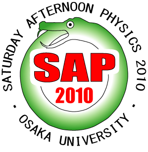 SAP2010